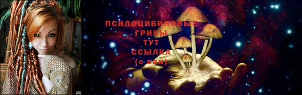 прущая мука Вяземский