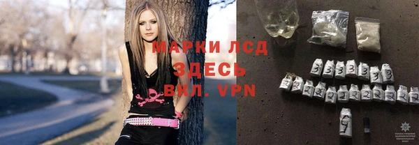 прущая мука Вяземский