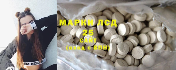 прущая мука Вяземский