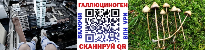 Галлюциногенные грибы прущие грибы  shop формула  Павловская 
