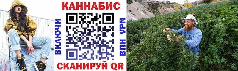 Канабис VHQ  Павловская 
